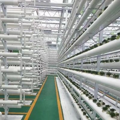 Large-Scale Farming Greenhouse Hydroponic System featuring Temporary Heating Method