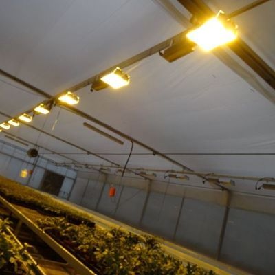 Controlled Environment Illuminated Planting Greenhouse with Glass Cover and Illumination