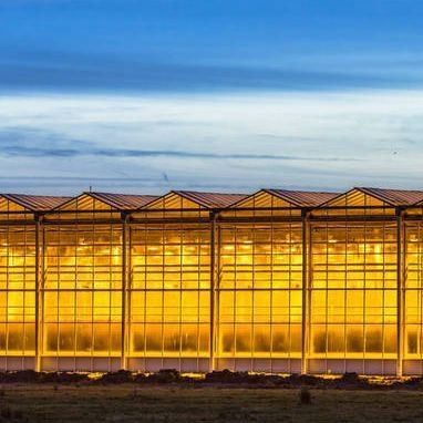 Controlled Environment Illuminated Planting Greenhouse with Glass Cover and Illumination