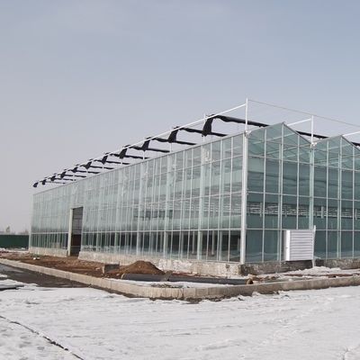 Customized Hydroponics Greenhouse with Climate Control System and Double Layer Glass