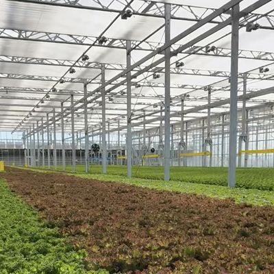 Greenhouse Hydroponics System with Customization and 100.000kg Package Gross Weight