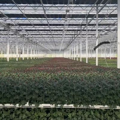 Greenhouse Hydroponics System with Customization and 100.000kg Package Gross Weight