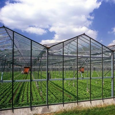 Greenhouse Hydroponics System with Customization and 100.000kg Package Gross Weight