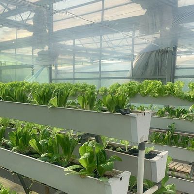 Glass Covered Hydroponic Seedlings Greenhouse with Outdoor Shading and Spray Cooling