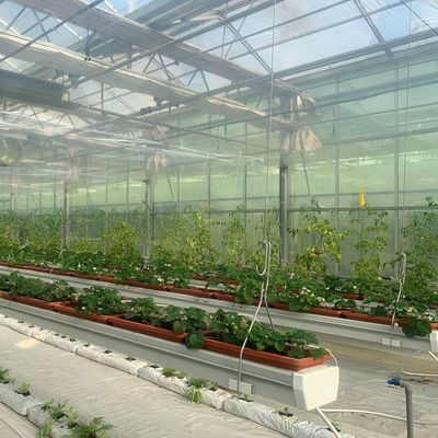 Square Meter Hydroponics Film Greenhouse Facility for Year-Round Crop Production