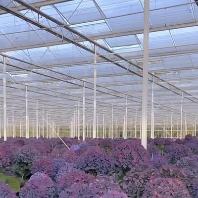 Hot DIP Galvanized Steel Glass Greenhouse JX-A0082 for Commercial Greenhouse Market