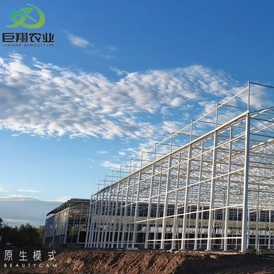 Hydroponics Cultivation Method Agriculture Glass Greenhouse for Tomato/Fruit Tempered