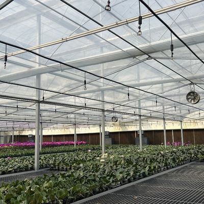 Large and Venlo Style Glass Agricultural Greenhouse with Automatic Control System