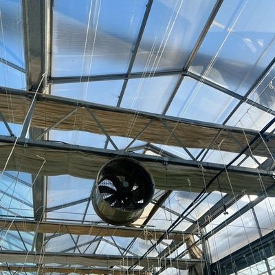 Large and Venlo Style Glass Agricultural Greenhouse with Automatic Control System