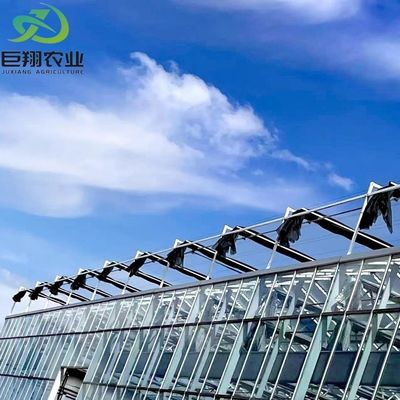 Customized Greenhouse for Agriculture Commercial Glass/Tempering Glass/Float Glass