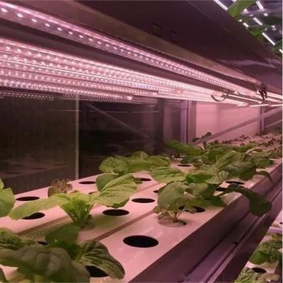 Double Layer Water Sprayer Controlled Illuminating Greenhouse for Planting Solutions