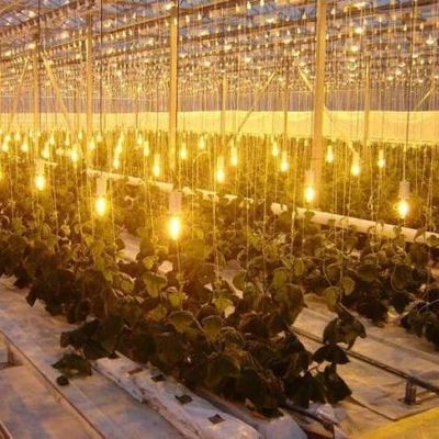 Double Layer Water Sprayer Controlled Illuminating Greenhouse for Planting Solutions