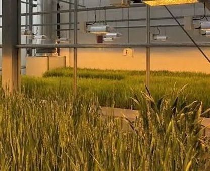 Double Layer Water Sprayer Controlled Illuminating Greenhouse for Planting Solutions