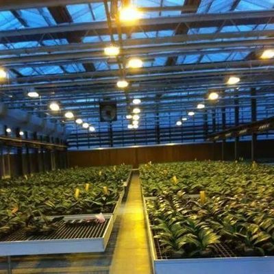 Glass Cover JX-GG-12 Shaded Hydroponic Seedling Facility Illuminate Greenhouse by Juxiang