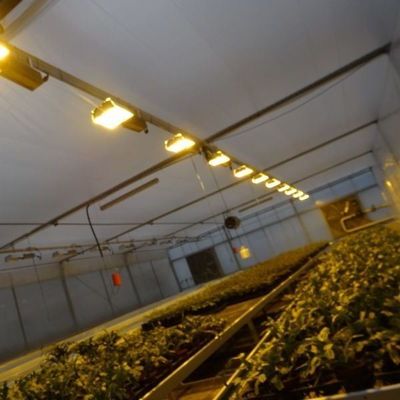 Glass Cover JX-GG-12 Shaded Hydroponic Seedling Facility Illuminate Greenhouse by Juxiang