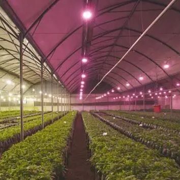 Glass Cover JX-GG-12 Shaded Hydroponic Seedling Facility Illuminate Greenhouse by Juxiang