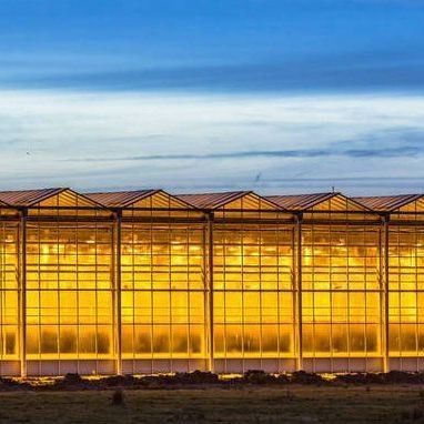 Glass Cover JX-GG-12 Shaded Hydroponic Seedling Facility Illuminate Greenhouse by Juxiang