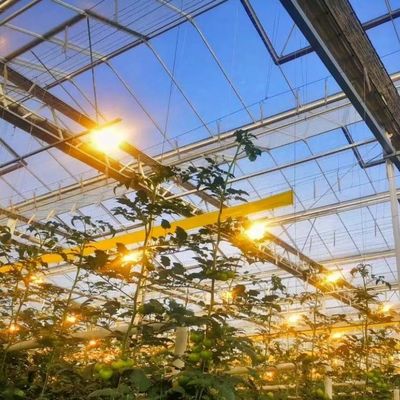 jx-gg-002 Illuminating Hydroponic Humidity Seedling Film Greenhouse and Return Refunds
