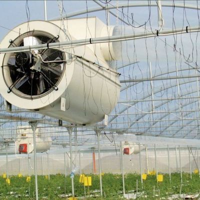 jx-gg-002 Illuminating Hydroponic Humidity Seedling Film Greenhouse and Return Refunds