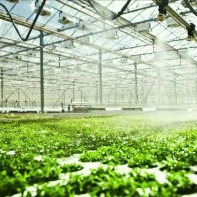 jx-gg-002 Illuminating Hydroponic Humidity Seedling Film Greenhouse and Return Refunds