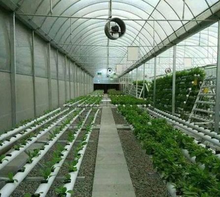 jx-gg-002 Illuminating Hydroponic Humidity Seedling Film Greenhouse and Return Refunds