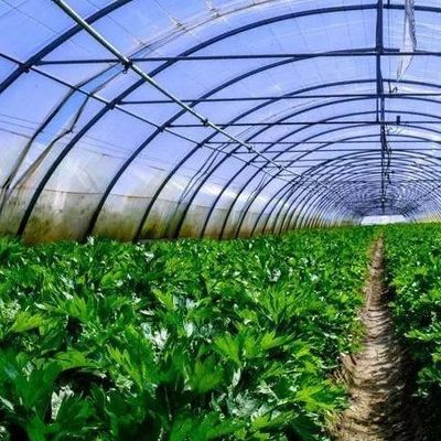 jx-gg-002 Illuminating Hydroponic Humidity Seedling Film Greenhouse and Return Refunds