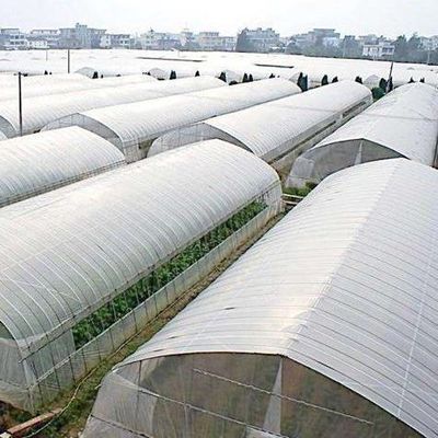 Hydroponic Seedling Facility Indoor Shading Film Greenhouse with Outdoor Shading
