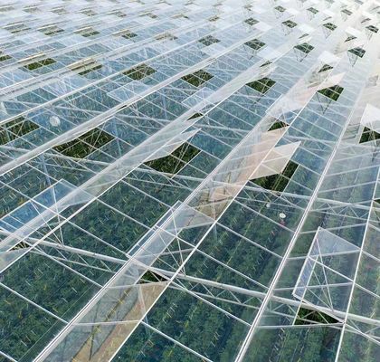 Hydroponics Cultivation Method Commercial Heating Garden Glass Greenhouse for Plants