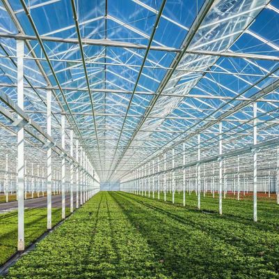 Hydroponics Cultivation Method Commercial Heating Garden Glass Greenhouse for Plants