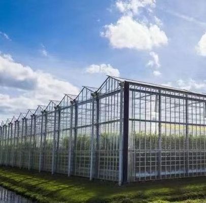 Hydroponics Cultivation Method Commercial Heating Garden Glass Greenhouse for Plants