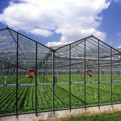 Hydroponics Cultivation Method Commercial Heating Garden Glass Greenhouse for Plants