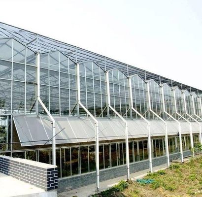 Hydroponics Cultivation Method Commercial Heating Garden Glass Greenhouse for Plants