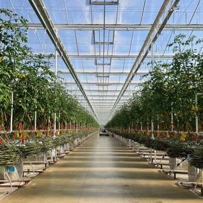 Ju Xiang Glass Greenhouse with Type Roof Shipping Cost and Estimated Delivery Time