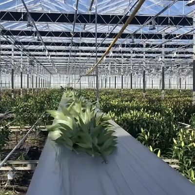 Ju Xiang Glass Greenhouse with Type Roof Shipping Cost and Estimated Delivery Time