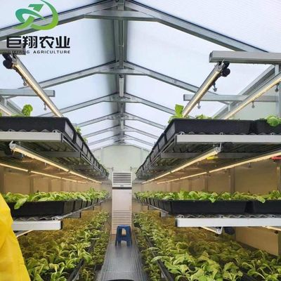 Customized JX-Glass Green House 2023 Juxiang Agriculture Equipment with Cooling System