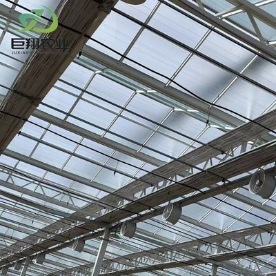 Customized JX-Glass Green House 2023 Juxiang Agriculture Equipment with Cooling System