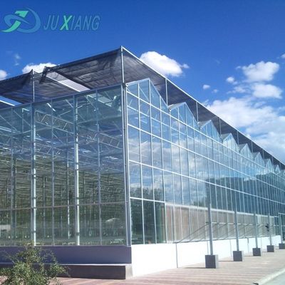 Steel Structure Drip Irrigation Glass Greenhouse for Plants Roofing Shape a Type Roof