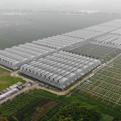 Sunlight Greenhouse 100% Blackout Automatic Light Deprivation Greenhouse in Canada / USA