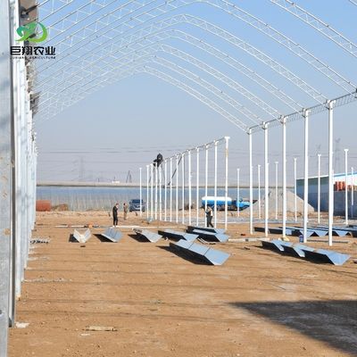 100% Blackout Automatic Light Deprivation Greenhouse for Canada / USA Request Sample