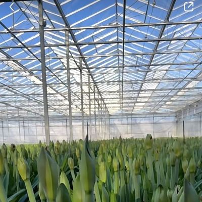 Multi Span Shading Screen System Glass Greenhouse Package Size 50.00cm * 60.00cm * 80.00cm