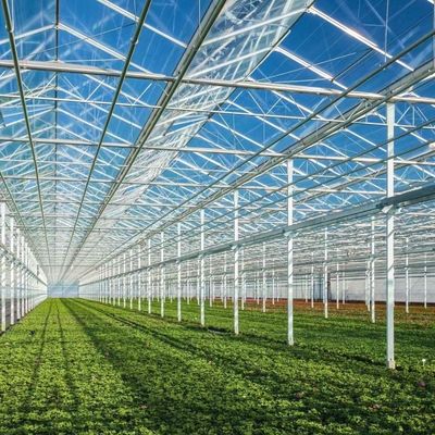 US 20/Square Meter Ju Xiang Glass Greenhouse for Cultivating Vegetables Full Payment