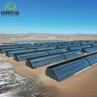 Roofing Shape Arched Roof JX-Arch Green House for Tomato Strawberry Hydroponic Farming