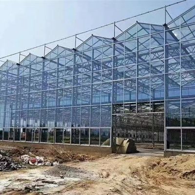 Single Layer Glass Greenhouse for Horticulture Customized to Your Requirements