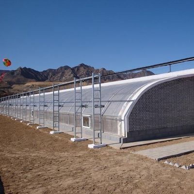 Continuous Heating Saw Tooth Roof PE/Pep Film Greenhouse with 0.2mm Film Thinckness