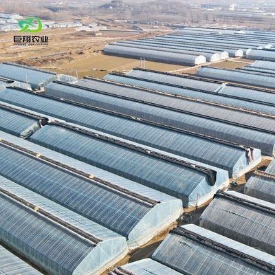 Continuous Heating Saw Tooth Roof PE/Pep Film Greenhouse with 0.2mm Film Thinckness