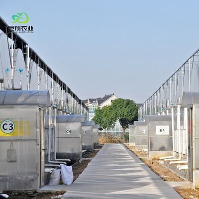 8m 9.6m 12m Customized Span Film Plastic Agriculture with Hydroponics Growing System