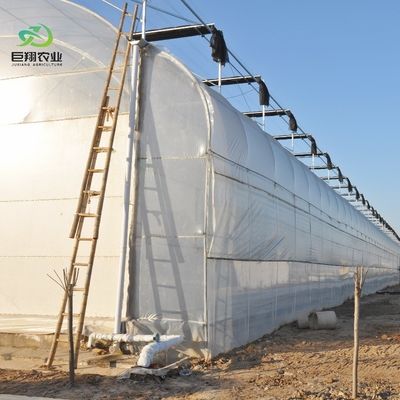 8m 9.6m 12m Customized Span Film Plastic Agriculture with Hydroponics Growing System