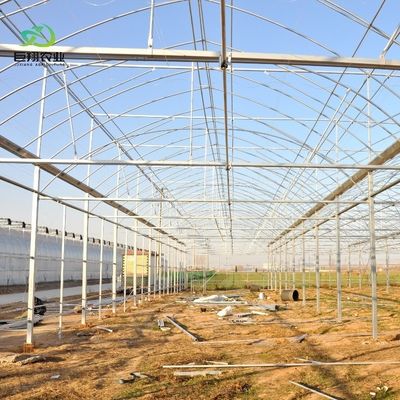 8m 9.6m 12m Customized Span Film Plastic Agriculture with Hydroponics Growing System