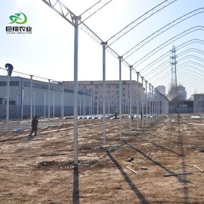 8m 9.6m 12m Customized Span Film Plastic Agriculture with Hydroponics Growing System