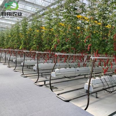 Aluminum Frame Glass Garden Greenhouse Victorian Commercial Greenhouse for Vegetables